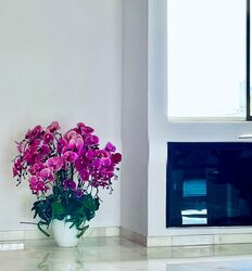 Balmoral Point (D10), Apartment #544493851